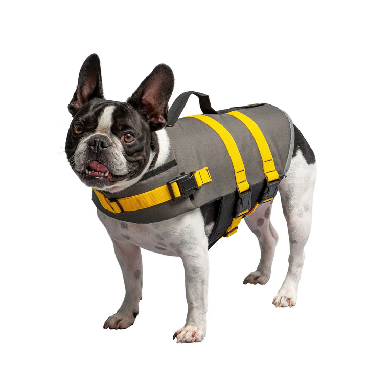 Safety First - Essential Considerations When Choosing an Army Dog Vest