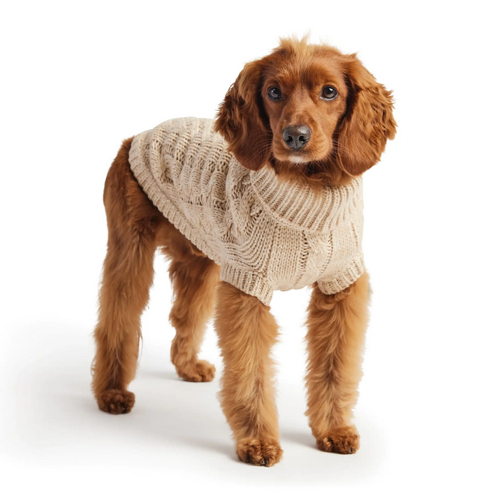 A Guide to Choosing the Perfect Dog sweater for Canadian Winters