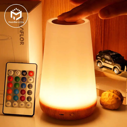 Portable Night Lamp